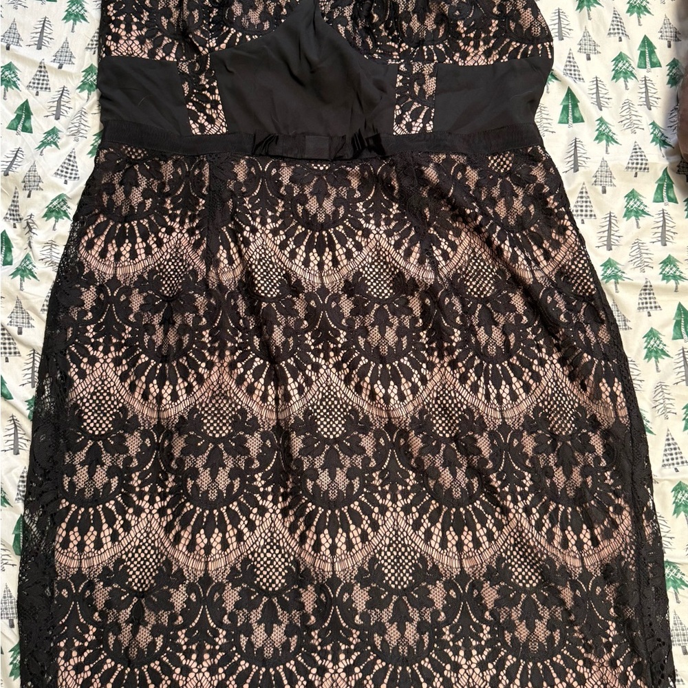 City Chic Black Lace Mini Dress